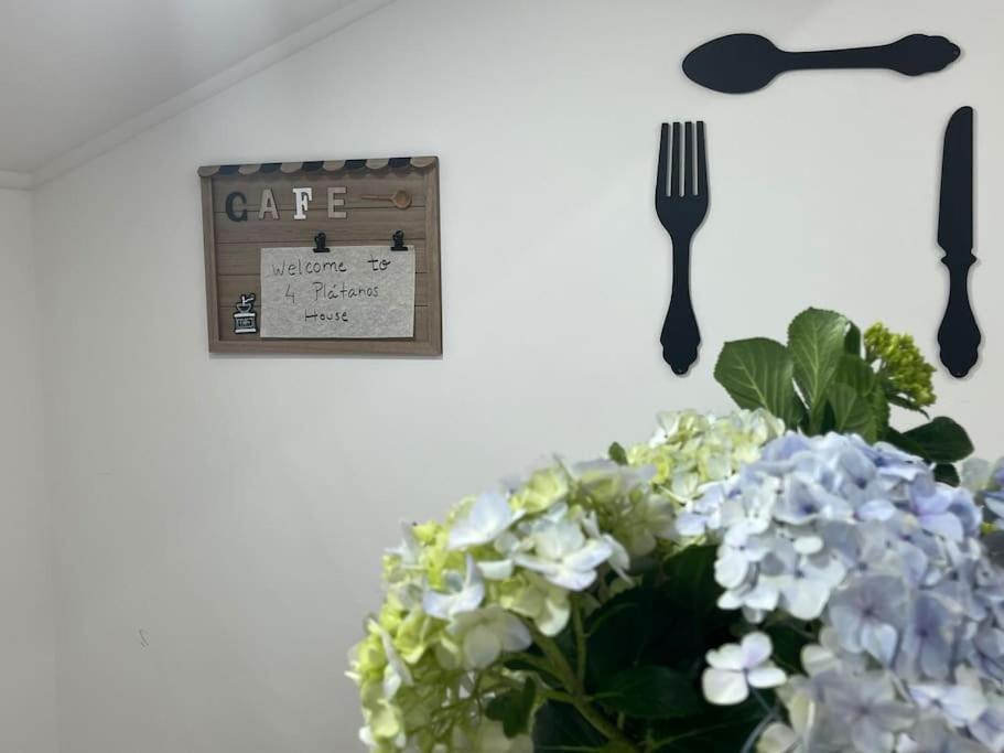 포보아카오 Casa Dos 4 Platanos 아파트 외부 사진